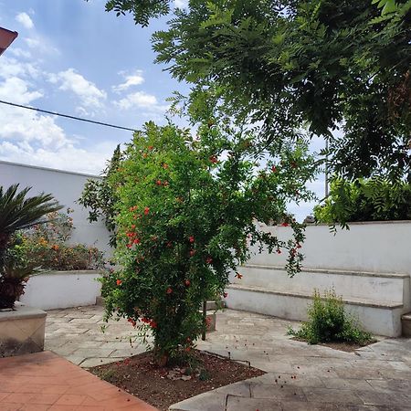 Apartamento Mamasita Cutrofiano Exterior foto