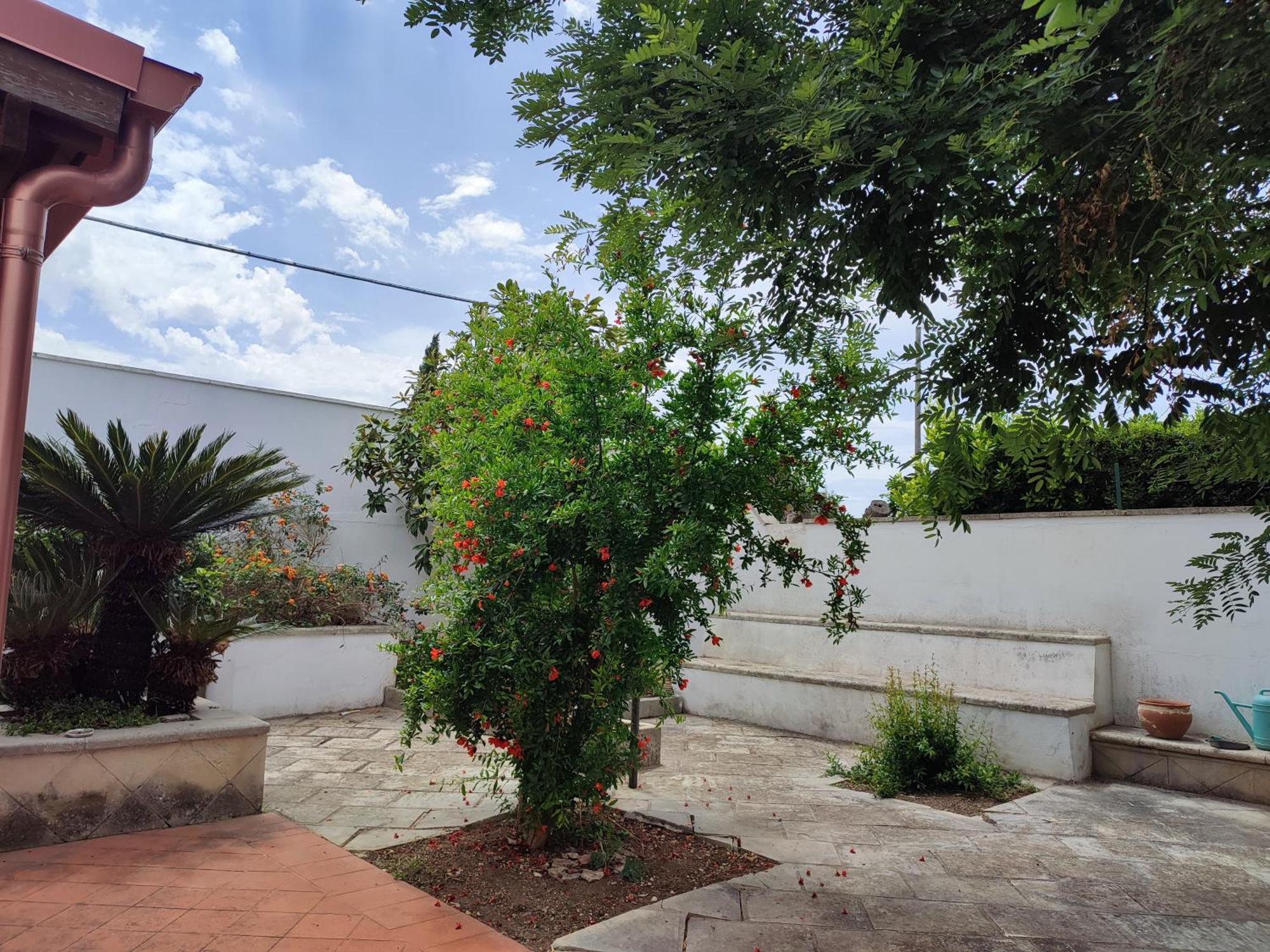 Apartamento Mamasita Cutrofiano Exterior foto